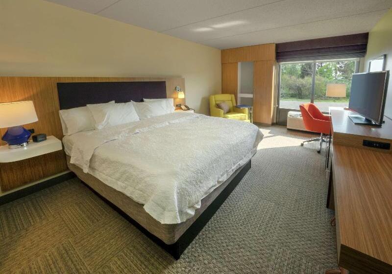 带大床的标准间, Hampton Inn Hazleton