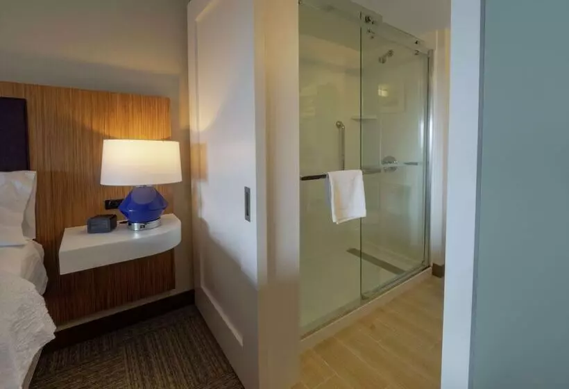 ダブルベッドのスタンダードスタジオ, Hampton Inn Hazleton