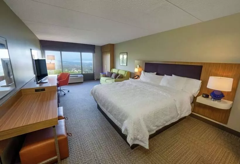 ダブルベッドのスタンダードスタジオ, Hampton Inn Hazleton