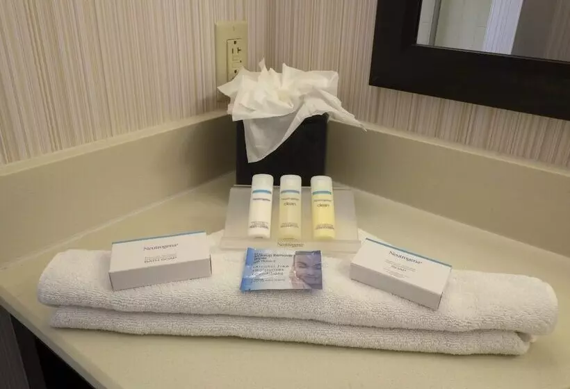 ２ダブルベッドのスタンダードルーム, Hampton Inn Hazleton