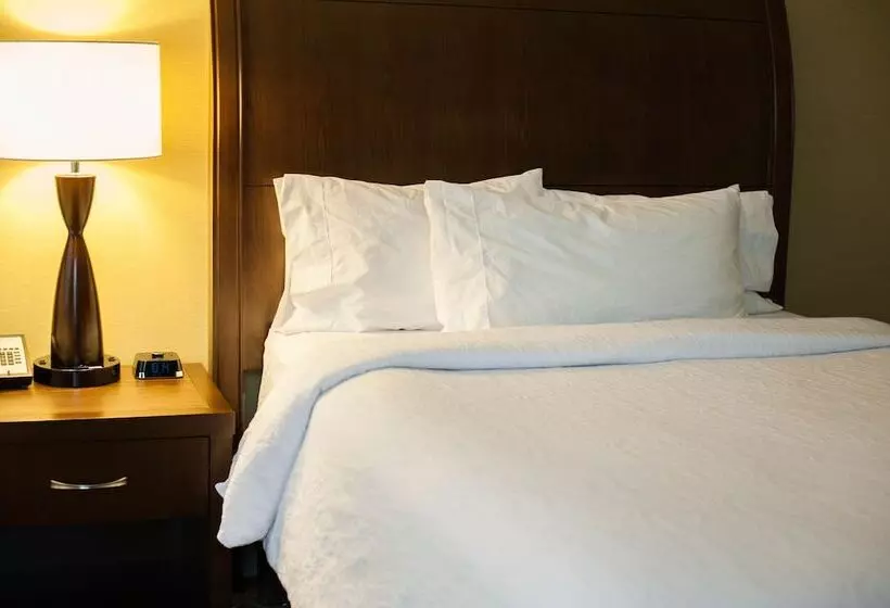 ２ダブルベッドのスタンダードルーム, Hampton Inn Hazleton