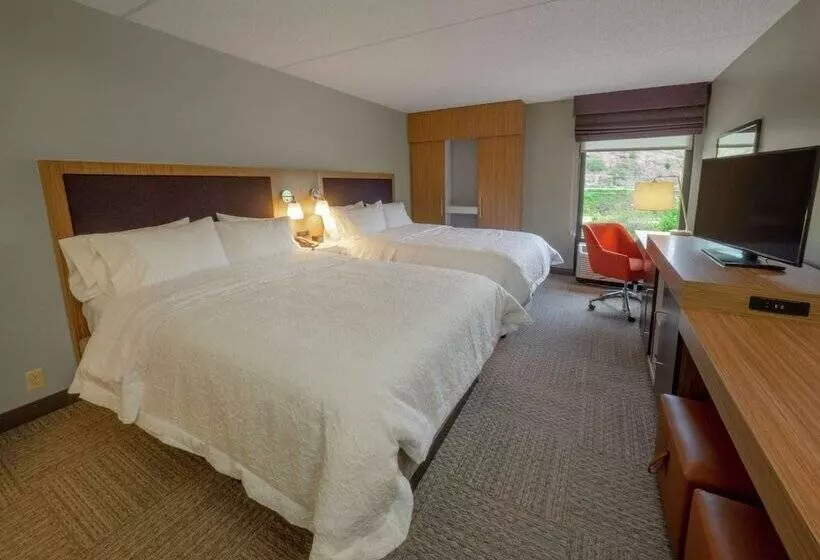 ２ダブルベッドのスタンダードルーム, Hampton Inn Hazleton