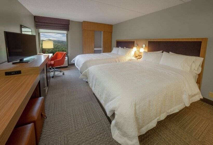 Standard Room 2 Double Beds, Hampton Inn Hazleton