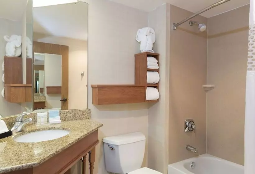 スタンダードルーム, Hampton Inn Joliet  I80