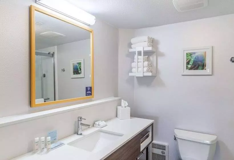 ２ダブルベッドのスタンダードルーム, Hampton Inn Lacrosse/onalaska