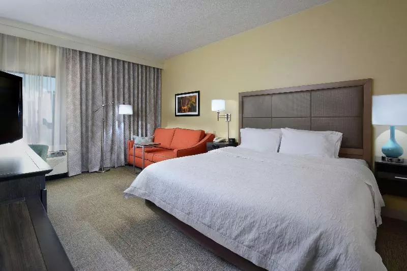 キングサイズベッドのスタンダードルーム, Hampton Inn Martinsville