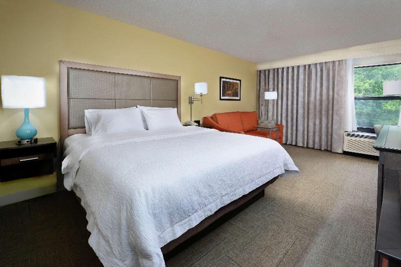 غرفة قياسية سرير كينج, Hampton Inn Martinsville