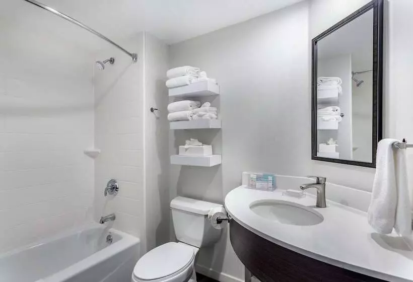 اتاق استاندارد با تخت بزرگ, Hampton Inn Milwaukee Airport
