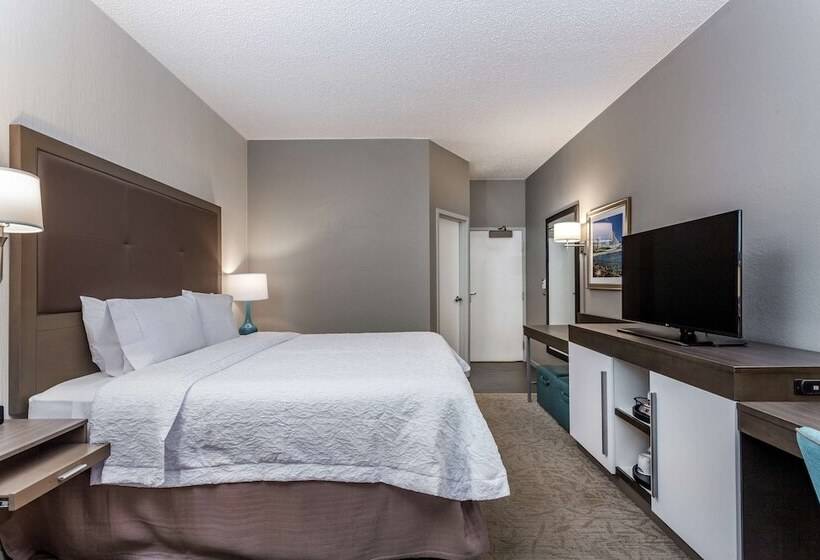חדר סטנדרט עם מיטת קינג, Hampton Inn Milwaukee Airport