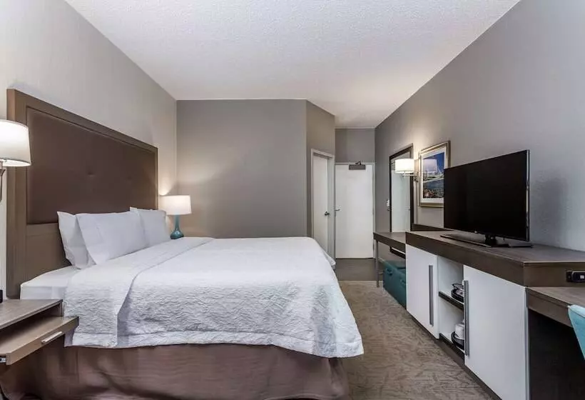 اتاق استاندارد با تخت بزرگ, Hampton Inn Milwaukee Airport