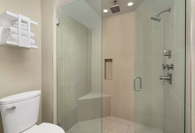 اتاق استاندارد با تخت بزرگ, Hampton Inn & Suites New Orleans Downtown