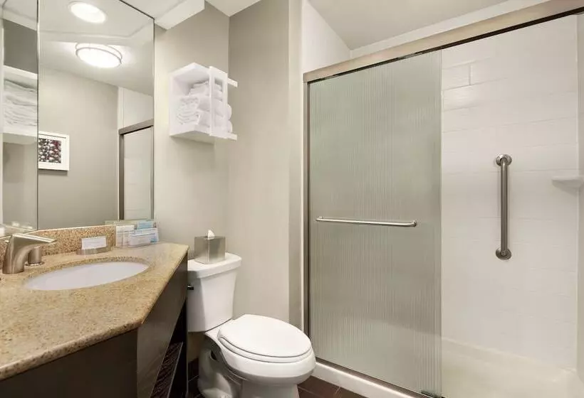 اتاق استاندارد با تخت بزرگ, Hampton Inn & Suites New Orleans Downtown
