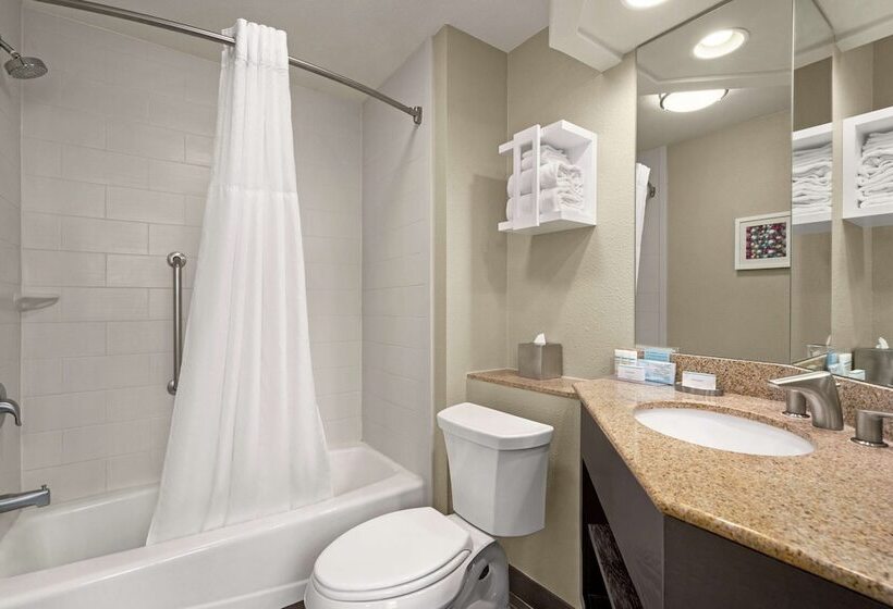 اتاق استاندارد با تخت بزرگ, Hampton Inn & Suites New Orleans Downtown