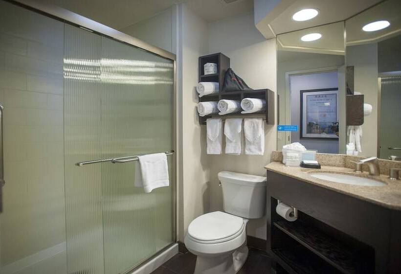 스탠다드 룸 킹사이즈 침대, Hampton Inn & Suites New Orleans Downtown