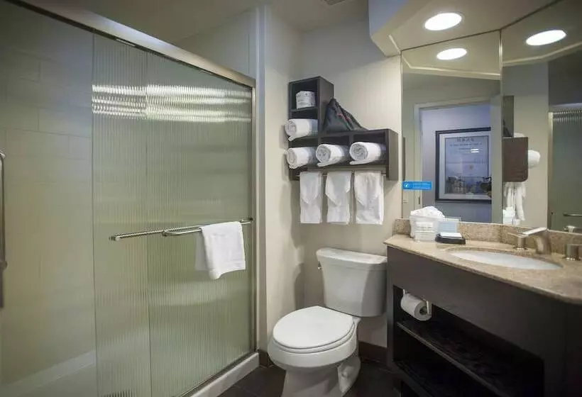 اتاق استاندارد با تخت بزرگ, Hampton Inn & Suites New Orleans Downtown