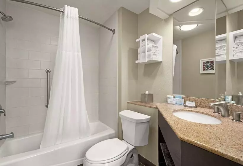 استودیو استاندارد با تخت کینگ, Hampton Inn & Suites New Orleans Downtown