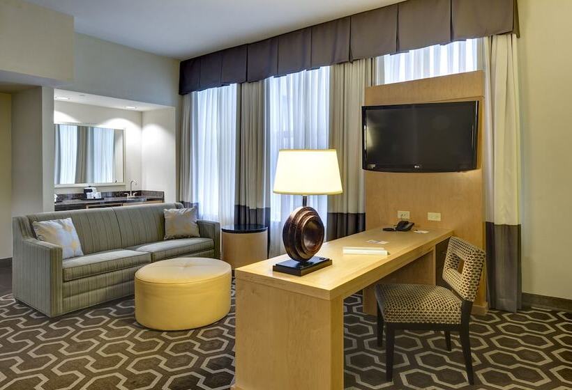 استودیو استاندارد با تخت کینگ, Hampton Inn & Suites New Orleans Downtown