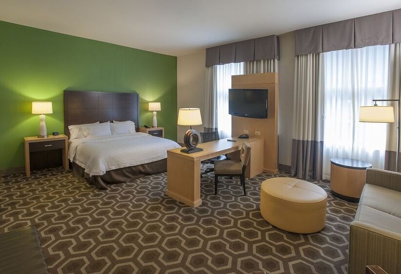 استودیو استاندارد با تخت کینگ, Hampton Inn & Suites New Orleans Downtown
