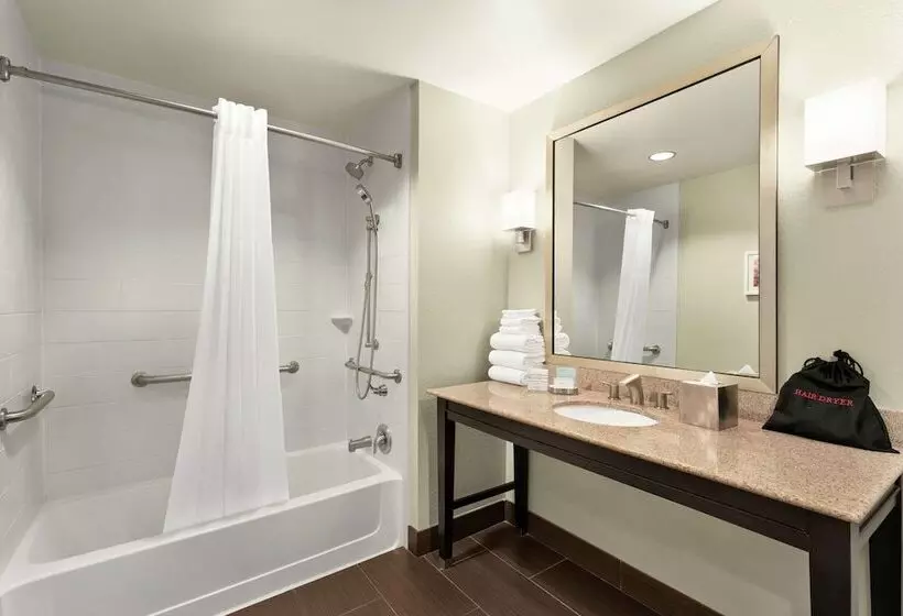 اتاق استاندارد با تخت بزرگ برای معلولان, Hampton Inn & Suites New Orleans Downtown