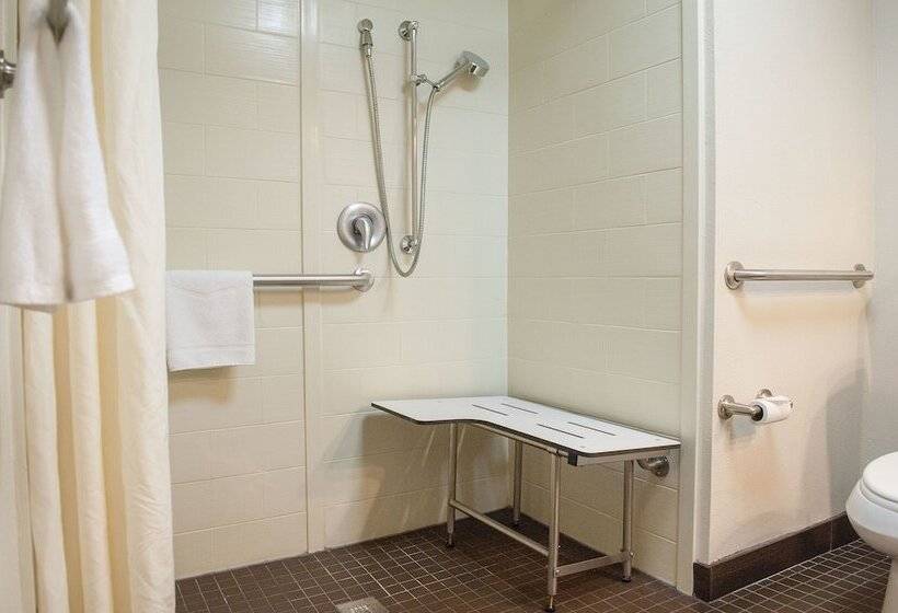 اتاق استاندارد با تخت بزرگ برای معلولان, Hampton Inn & Suites New Orleans Downtown