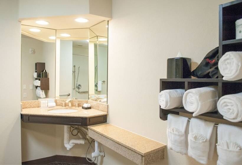 اتاق استاندارد با تخت بزرگ برای معلولان, Hampton Inn & Suites New Orleans Downtown