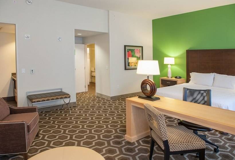 استودیو استاندارد با تخت کینگ, Hampton Inn & Suites New Orleans Downtown