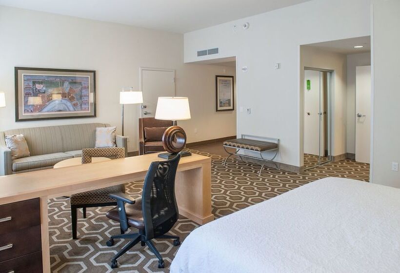 استودیو استاندارد با تخت کینگ, Hampton Inn & Suites New Orleans Downtown