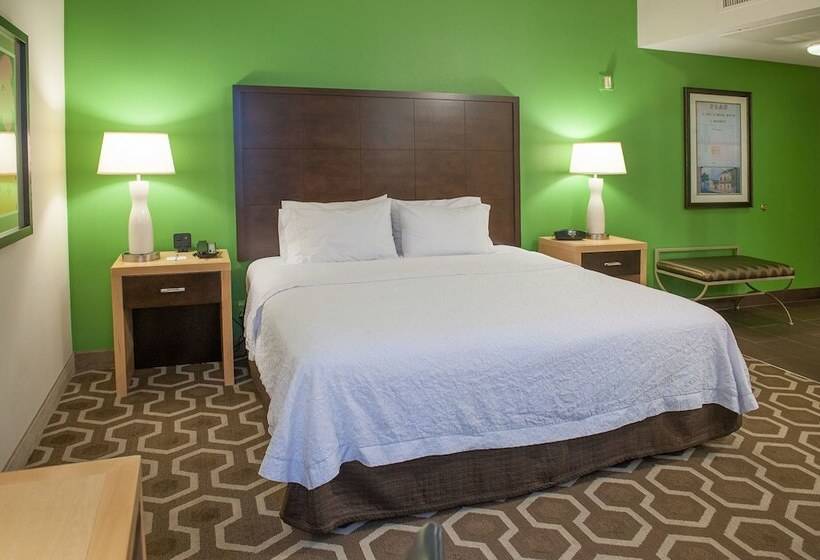 اتاق استاندارد با تخت بزرگ برای معلولان, Hampton Inn & Suites New Orleans Downtown