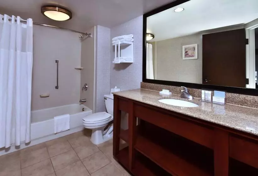 キングサイズベッドのスタンダードルーム, Hampton Inn Princeton