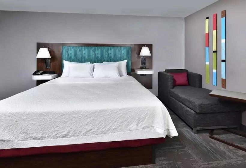 キングサイズベッドのスタンダードルーム, Hampton Inn Princeton