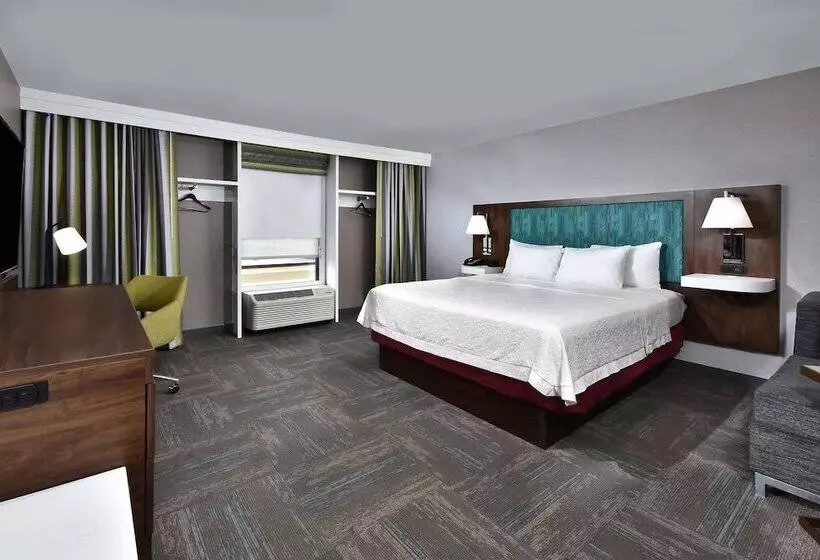 キングサイズベッドのスタンダードルーム, Hampton Inn Princeton