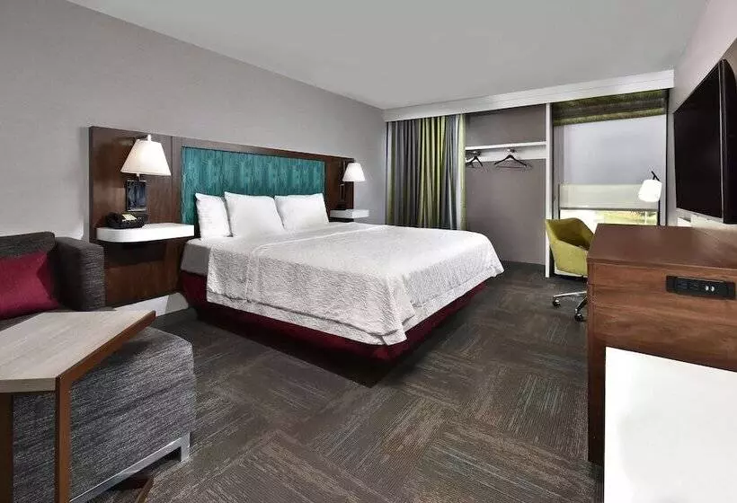 キングサイズベッドのスタンダードルーム, Hampton Inn Princeton