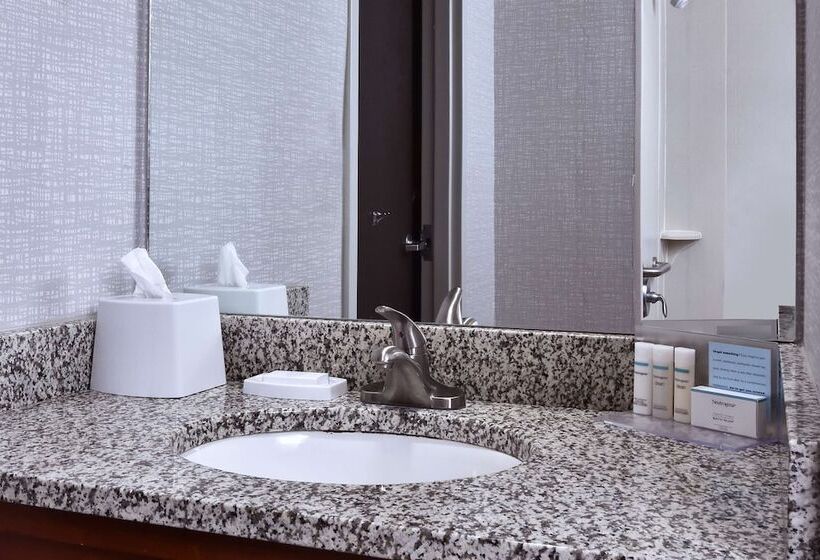 适合残疾人使用的标准间, Hampton Inn Princeton