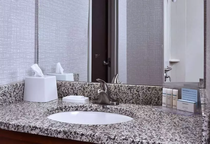 身障者適用スタンダードルーム, Hampton Inn Princeton