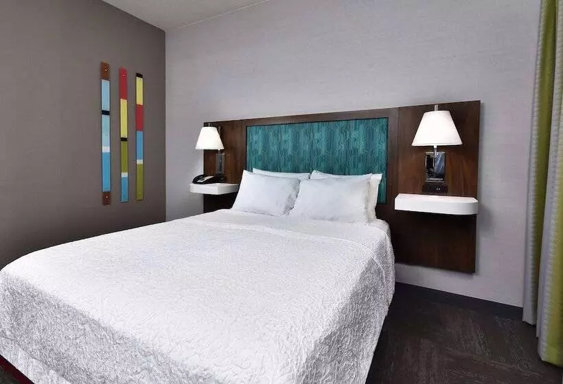 身障者適用スタンダードルーム, Hampton Inn Princeton