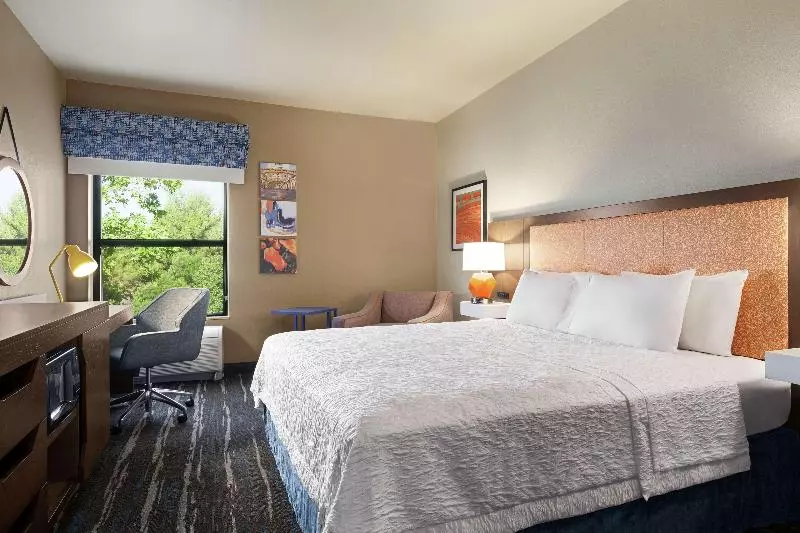 اتاق استاندارد با تخت بزرگ, Hampton Inn Sacramento/rancho Cordova
