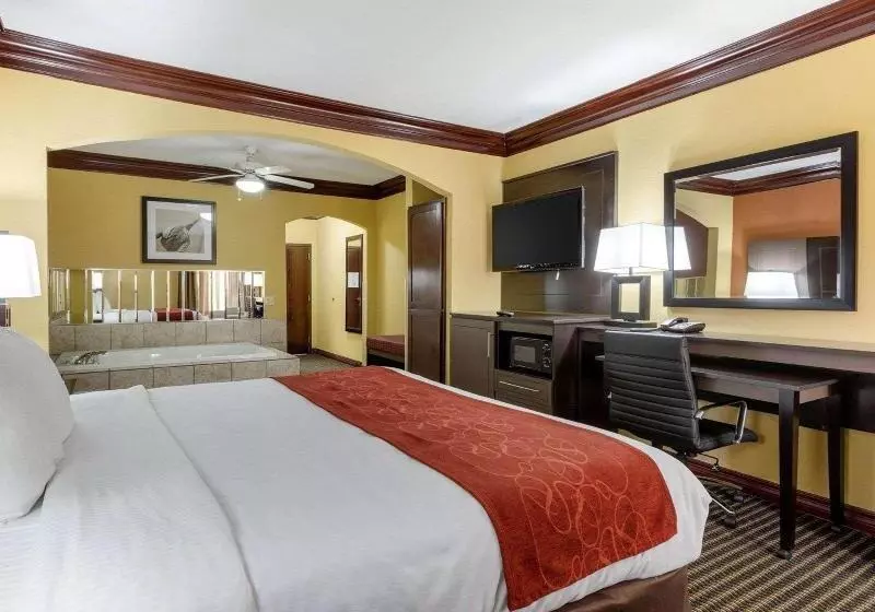 キングサイズベッドのデラックスルーム, Hampton Inn Salem Eastelectric Road