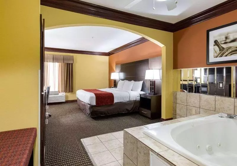 キングサイズベッドのデラックスルーム, Hampton Inn Salem Eastelectric Road