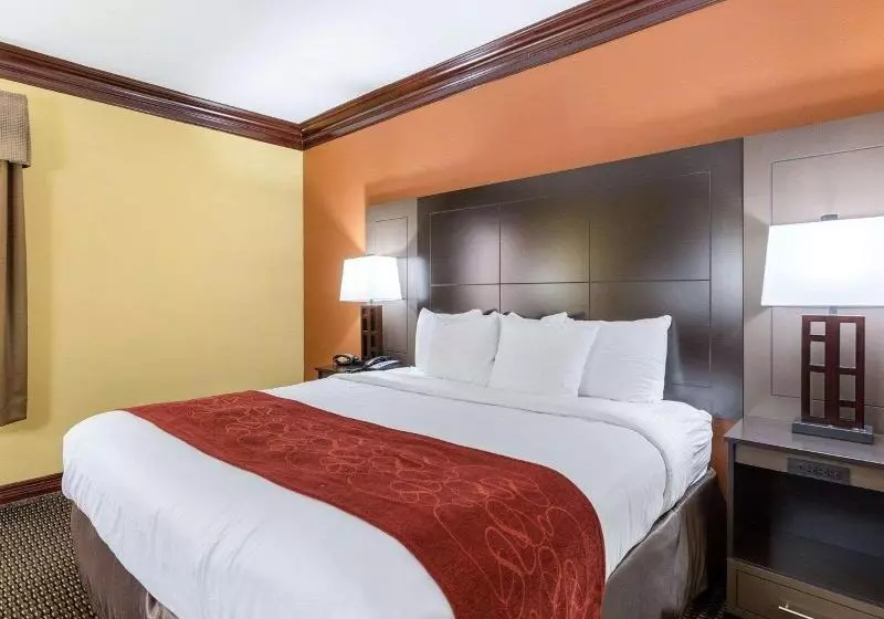 キングサイズベッドのデラックスルーム, Hampton Inn Salem Eastelectric Road