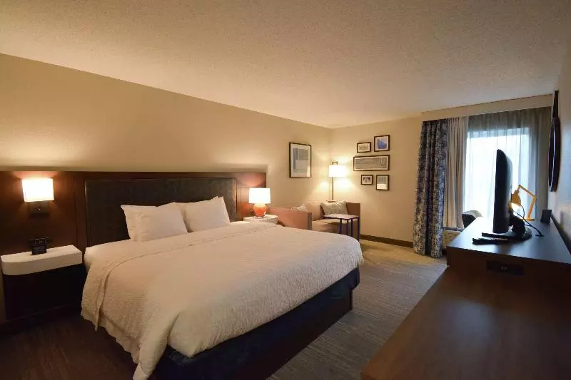 キングサイズベッドのスタンダードルーム, Hampton Inn Salem Eastelectric Road