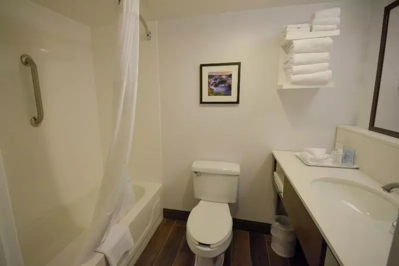 キングサイズベッドのスイートルーム, Hampton Inn Salem Eastelectric Road