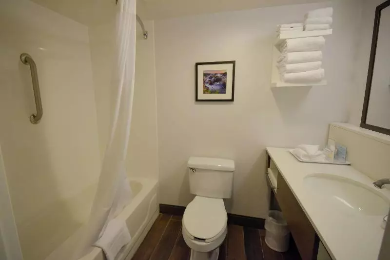 キングサイズベッドのスイートルーム, Hampton Inn Salem Eastelectric Road