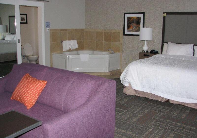 带大床的套房, Hampton Inn Sevierville