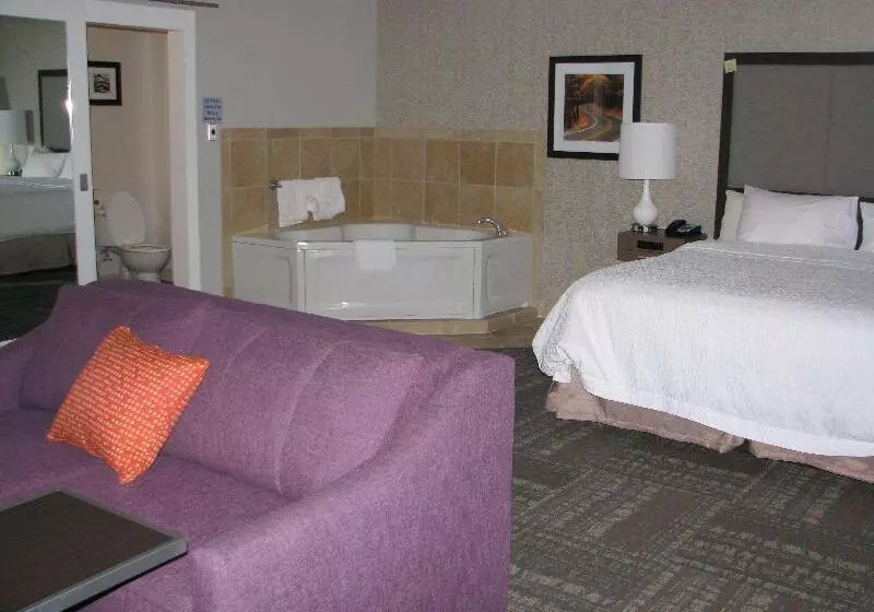 سوئیت با تخت بزرگ, Hampton Inn Sevierville