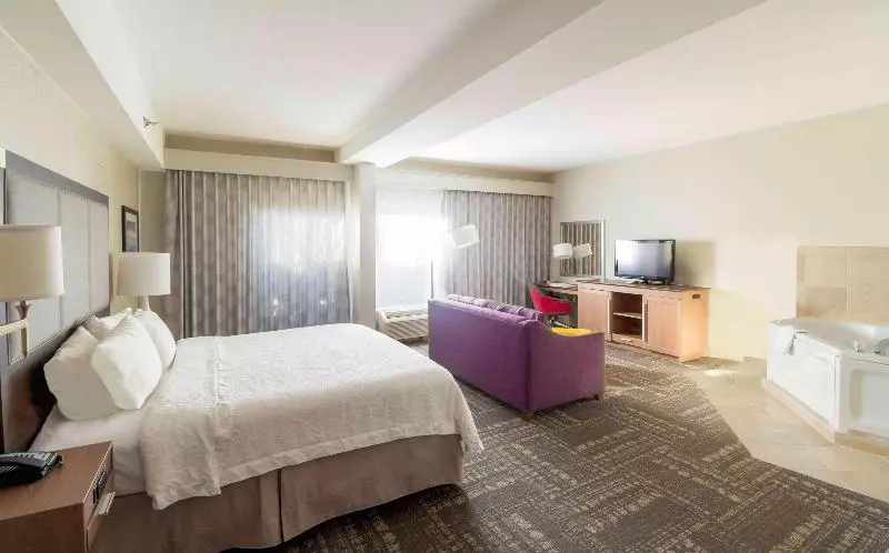 سوئیت با تخت بزرگ, Hampton Inn Sevierville