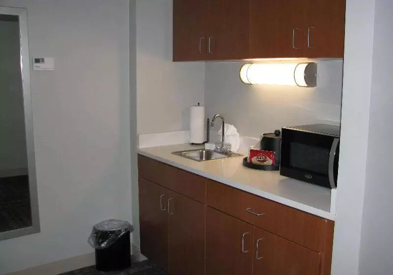 سوئیت با تخت بزرگ, Hampton Inn Sevierville