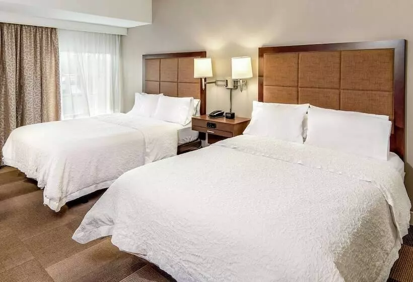 ２ダブルベッドのスタンダードルーム, Hampton Inn & Suites Bethlehem