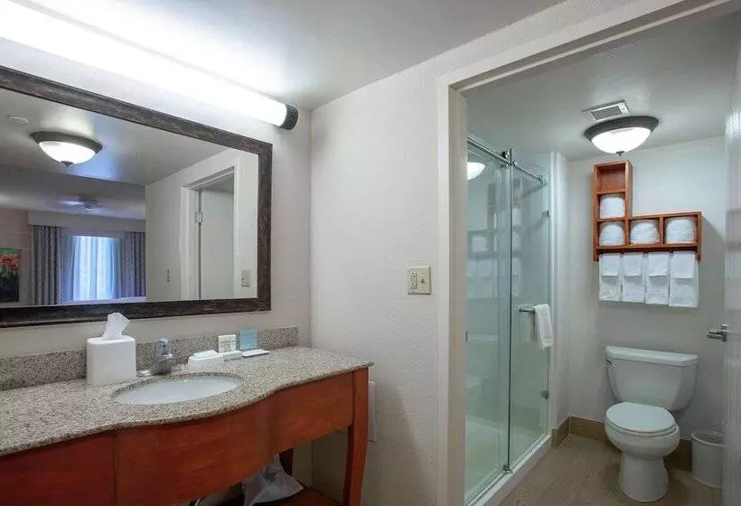 سوییت, Hampton Inn & Suites Williamsburgrichmond Rd