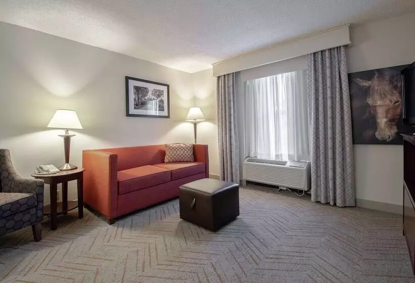 سوییت, Hampton Inn & Suites Williamsburgrichmond Rd