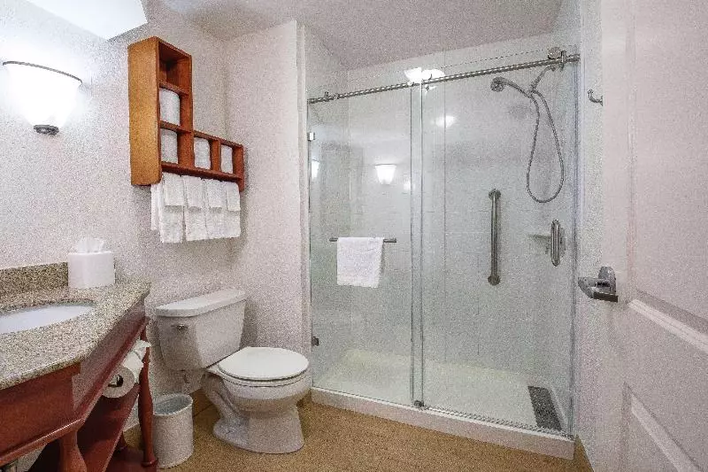 اتاق استاندارد با تخت بزرگ, Hampton Inn & Suites Williamsburgrichmond Rd